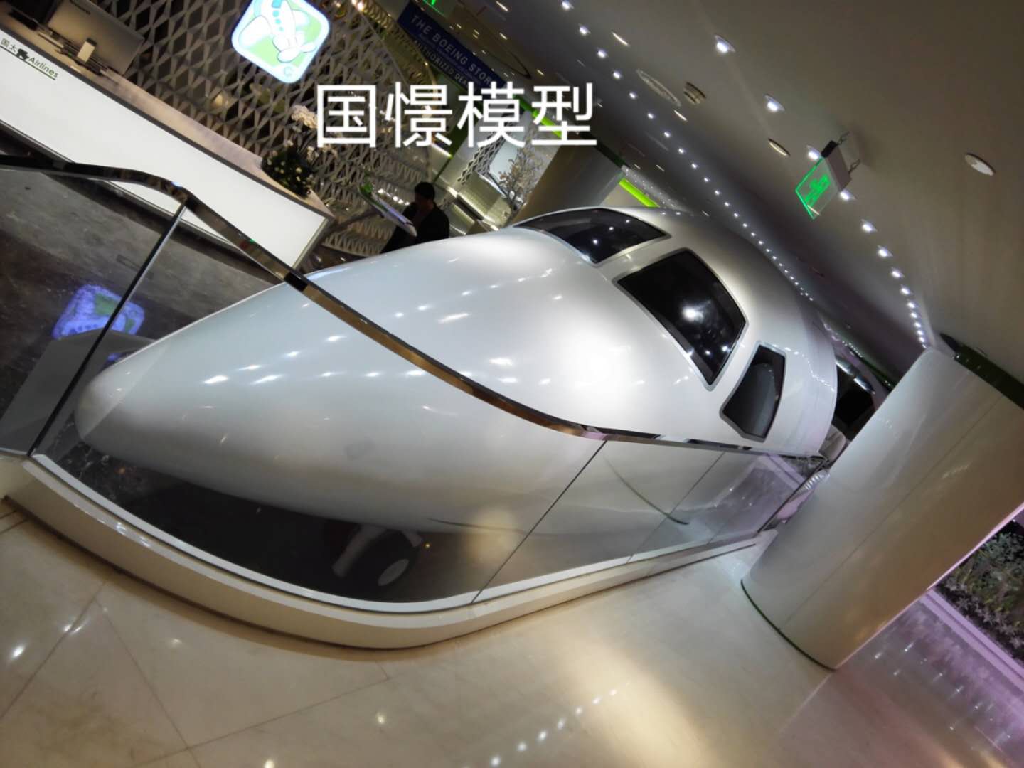 秦安县大型仿真模型道具