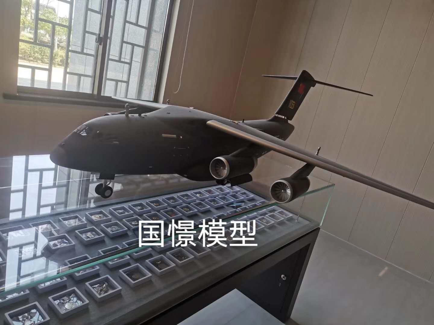秦安县飞机模型