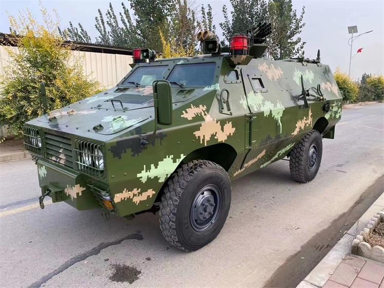 秦安县军事模型